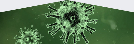 Infos zum Corona-Virus