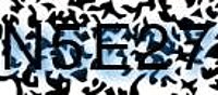 grafischer Sicherheitscode