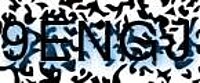 grafischer Sicherheitscode
