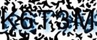 grafischer Sicherheitscode