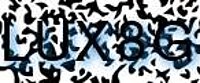 grafischer Sicherheitscode
