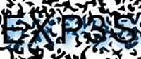 grafischer Sicherheitscode