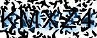 grafischer Sicherheitscode