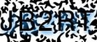 grafischer Sicherheitscode