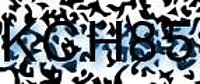 grafischer Sicherheitscode