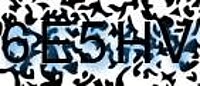 grafischer Sicherheitscode